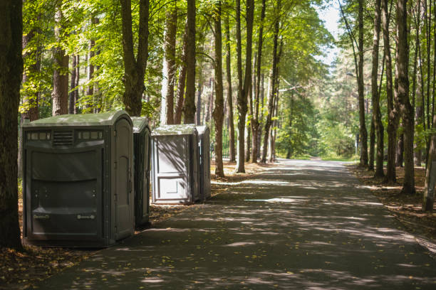 Best Luxury portable toilet rental  in Springfield, MI